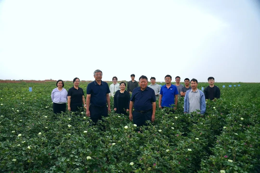 看!他们爆改的盐碱地正在开花...